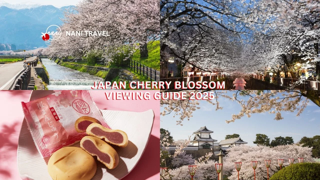 Japan Travel, Food & Lifestyle Guide in Singapore